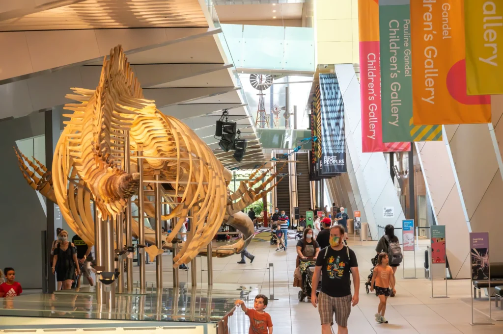 melbourne museum interior